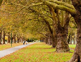 park UK 