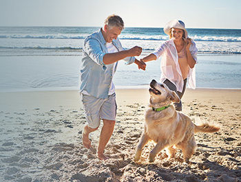 Couple on a date on the beach with a happy dog