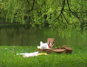 picnic basket beside the lake