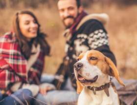 dog sits in front of happy smiling couple